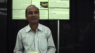 Calibrate YSI algae probe for early detection of algal blooms