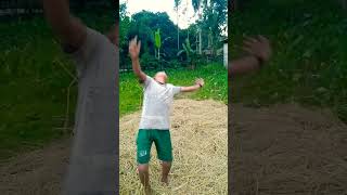 Bak Fill 1 Filp King