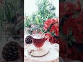 قولولا شو طال البعد حاتم العراقي حالات واتس 