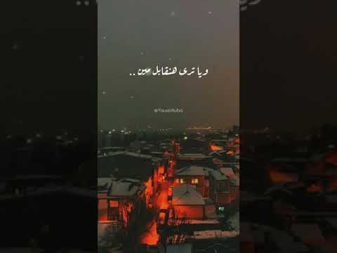 رايحين على فين حالة واتس رامى صبرى