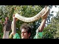 अजगर सांप और मदारी का खेल || Street Performer &amp; Python Snake Show.