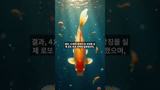 로또 1등 당첨자들의 꿈 속 공통점 3가지 | 당신도 꿨을지 모르는 그 꿈