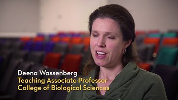 Multilingual Learners: Instructor Deena Wassenberg