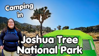 Beginner's Guide to Camping in Joshua Tree National Park - Watch before you go!