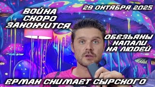 видео: ВТОРЖЕНИЕ В ВЕНЕСУЭЛУ ЧЕРЕЗ 48 часов! ЛИТВА ЗАКРЫЛА ГРАНИЦУ С БЕЛАРУСЬЮ! ВОССТАНИЕ ОБЕЗЬЯН!  картинка: ВТОРЖЕНИЕ В ВЕНЕСУЭЛУ ЧЕРЕЗ 48 часов! ЛИТВА ЗАКРЫЛА ГРАНИЦУ С БЕЛАРУСЬЮ! ВОССТАНИЕ ОБЕЗЬЯН!