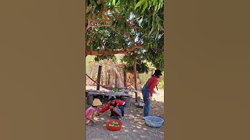 Mong em chân cứng đá mềm Nụ cười hạnh phúc,  an yên trọn đời 😉😉😚#queem #miennui #mountain #