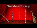 The Woodwind Family - Listen to the instruments of the Woodwind family! - Orchestra for Kids Mp3 Song