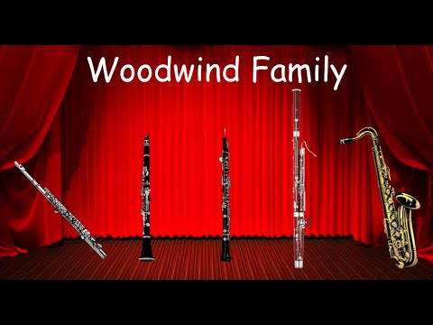 The Woodwind Family - Listen to the instruments of the Woodwind family! - Orchestra for Kids