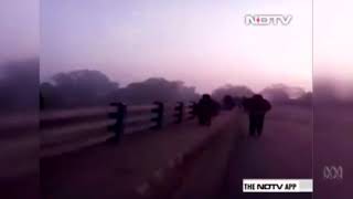 Bus plunges into river in India #039;s West Bengal state, at least 36 dead   ABC News Australian Bro