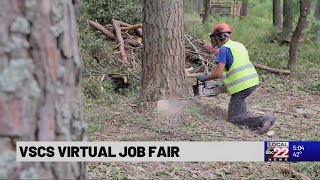 VSCS holds first ever virtual job fair