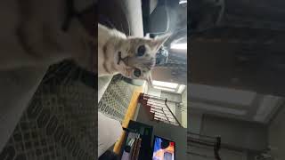 IMG 8572