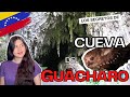 La cueva ms famosa de venezuela  cueva del guacharo caripe