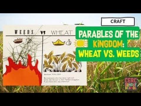 Sunday School Online Ep61 Craft Parables Of The Kingdom Wheat Vs 