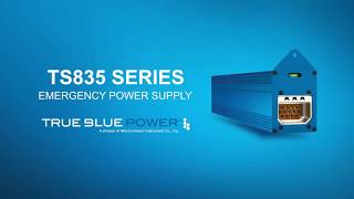 TS835 Series Emergency Power Supply from True Blue Power® available at KADEX