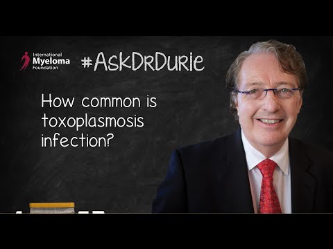 How common is toxoplasmosis infection?