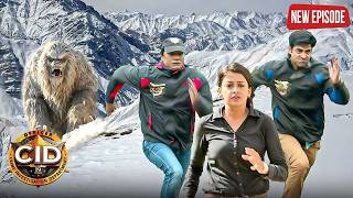 क्या बच पाएंगे बर्फीले पहाड़ों में खूंखार जानवरों के बिच फंसी CID? | CID | New Letest Episode screenshot 3