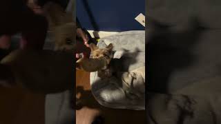 Im Gonna Put Her To Work