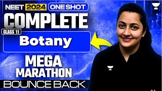 NEET 2024: Complete Botany Class 11th | One Shot | Bounce Back