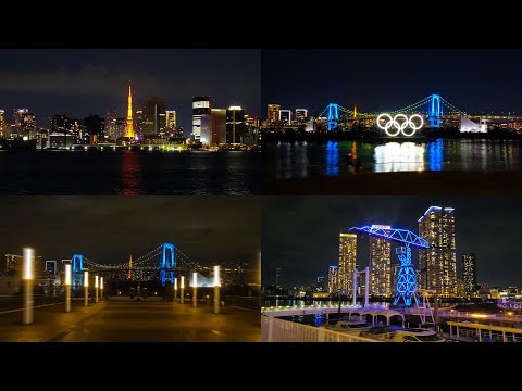 山中現　夜　リトグラフ 大山忠作 リトグラフ 冨士 【アートギャルリー日本ぶっくあーと】