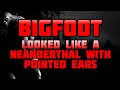 Bigfoot looked like a neanderthal with pointed ears