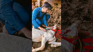 Bakra Zibah Kar Diya