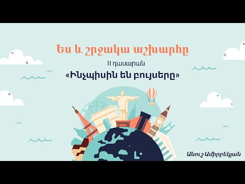 Video: Արդյո՞ք LED լամպերը լավ են բույսերի համար: