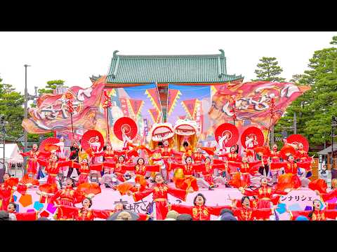 4K] Yosakoi team Kazamidori, 2025 Grand Prize Winner, 
