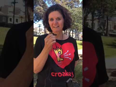 Reflections on the strengths and lessons from community health - #VicVotes #CroakeyGO wraps up