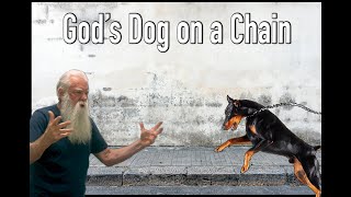 God's Dog on a Chain