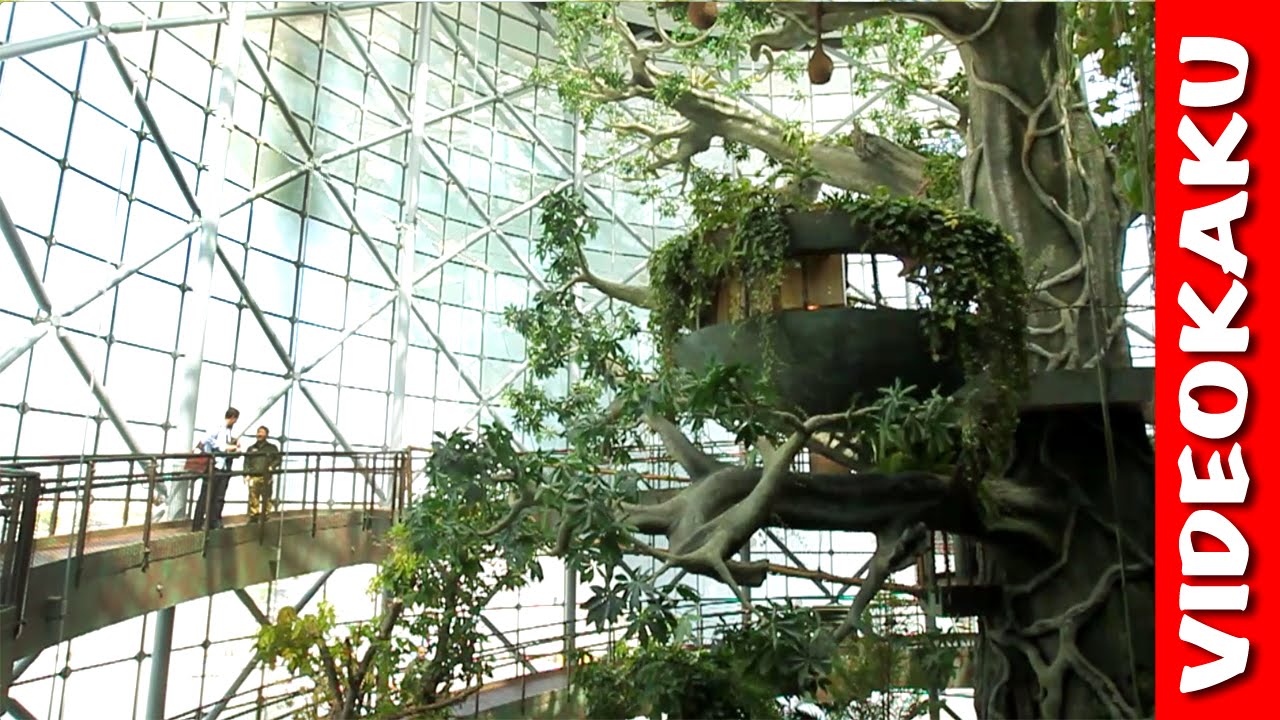 Here's what it's like inside Amazon's indoor rainforest