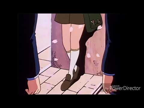 🥀高嶺の花子さん 高嶺之花-粉ミルク(back number) 中文翻譯