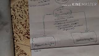 Neet 2020 The blood cells body fluids and  circulation  concept map and flowchart with tabular form News