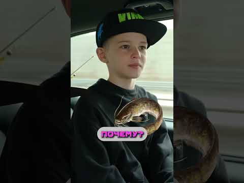 Мечтаю поймать ЭТУ