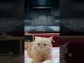 MUZAN KIBUTSUJI ENTRY #short #shorts #anime
