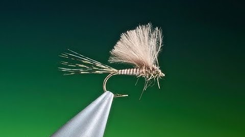 Tying a quick quill dun with Barry Ord Clarke