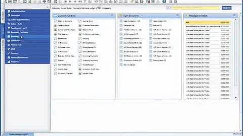 SAP BUSINESS ONE PRE-PAYMENTS ON SALES ORDERS AND PURCHASE ORDERS.
