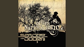 The Girl You Lost To Cocaine (Sander van Doorn Remix)