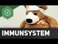 Bestandteile des Immunsystems - Einführung ● Gehe auf SIMPLECLUB.DE/GO & werde #EinserSchüler