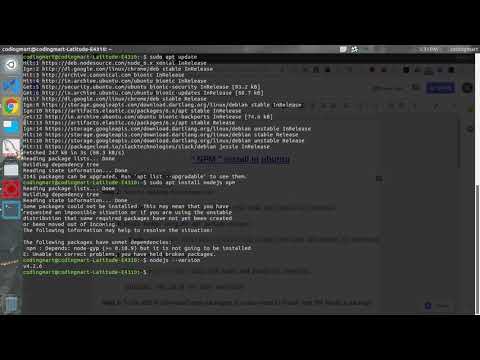 Nodejs install and Npm install