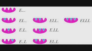 Multiple Binding Site | Binding Density & Adair coefficients | DERIVATION