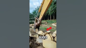 Excavator Slices Tree Trunks Like Potato Chips with Unbelievable Precision