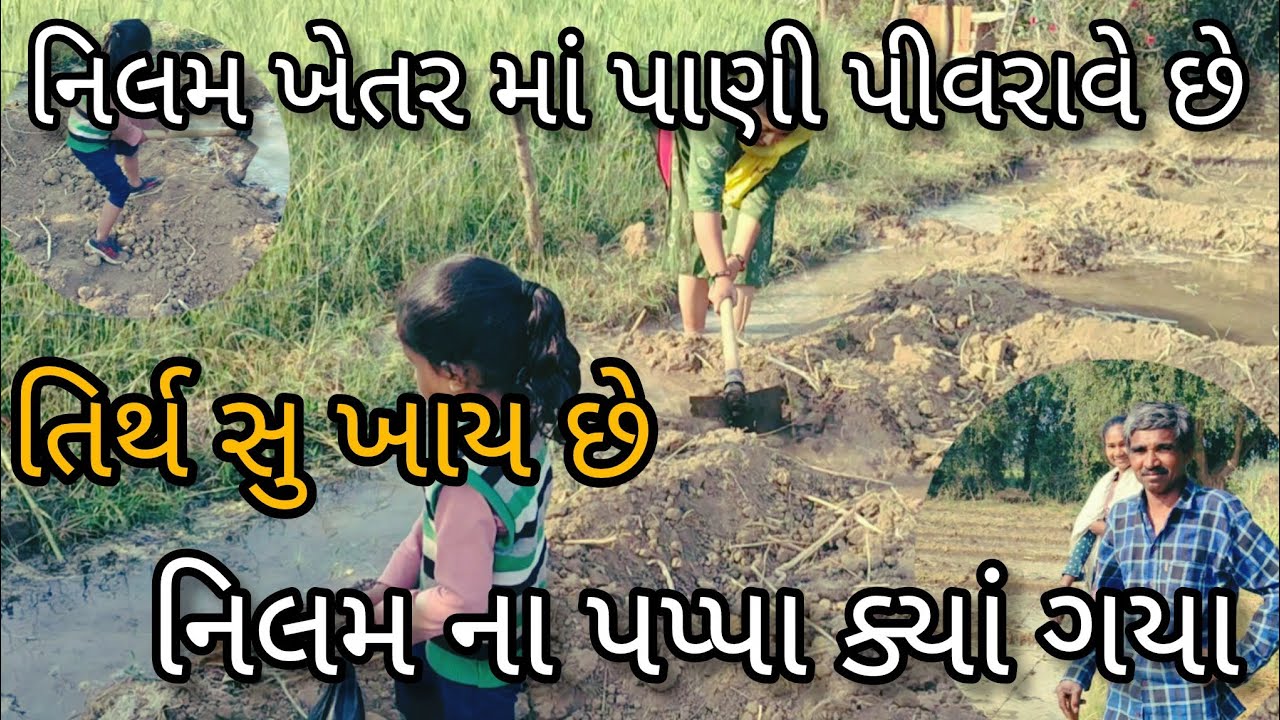 નિલમ ખેતર માં પાણી પિવરાવે છે 😨 | તિર્થ સુ ખાય છે ☺️ | નિલમ ના પપ્પા ક્યાં ગયા 😨 || Nilam Vlogs 