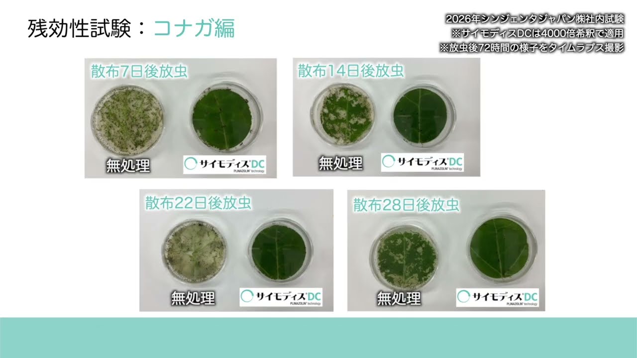 変異種　サインド サイモディスDC｜シンジェンタジャパンの農業用製品（殺虫剤・殺菌剤