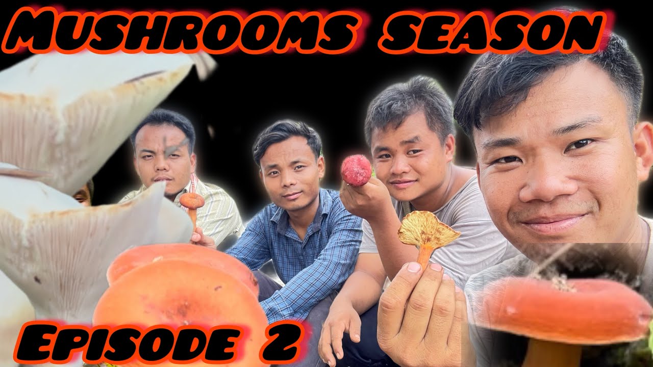 MUSHROOMS 🍄 SEASON || episode 2 || cooking   Maring tribe style 😋 mushrooms 🍄‍🟫 mushroom 🍄 🍛