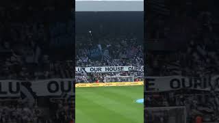 Nufc Newcastle United 3-3 Manchester City