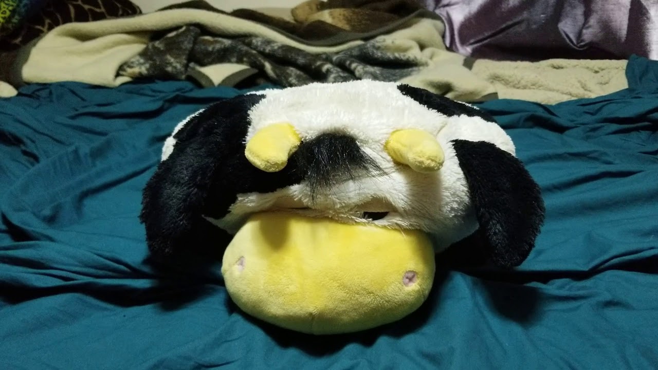 My Stuffed Cow YouTube