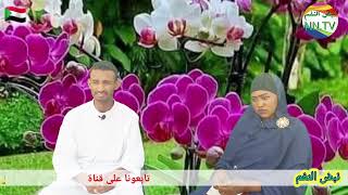 جديد 2023ودالدندر محمد زين العابدين