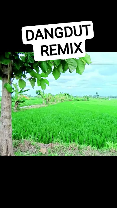 DANGDUT REMIX VOL 3