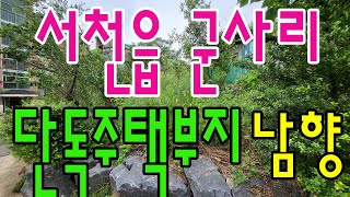 (매물번호:20230823) 서천읍 소재지 군사리 단독주택부지 135평 남향 매매가 13500만원  H.P:…