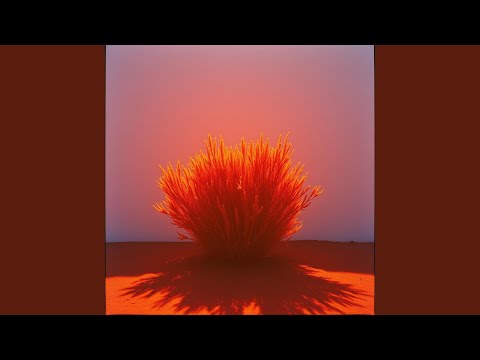 من به شما احترام می گذارم 